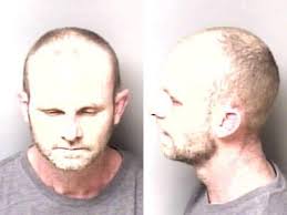 Chad Brezeale Booking: 2/14/2021 3:09 AM * Hit/Run Leave Scene Property  Damage * Reckless Driving, Wanton Disregard