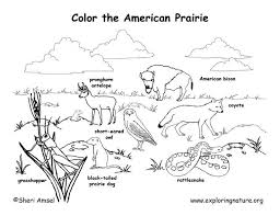 Prairie Habitat Coloring Pages Animal Habitats Coloring Pages Valentines Day Coloring Page