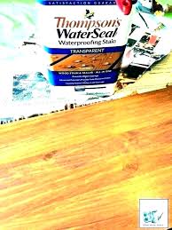 Thompsons Water Seal Spray Clich Co