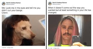 Memes Tweets About The Agony Ecstasy Of Haircare Memebase Funny Memes