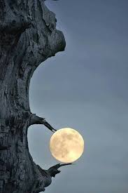 I Finally Got You It S Not Real It S Entertainment For Me This Particular One Was Going To Get My Five Bucks Moon Photography Beautiful Moon Beautiful Nature