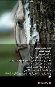 pin by صل على النبي on صباحات ومسائات demon aesthetic arabic quotes horses