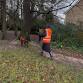Mantrailing Foundations Croydon event image