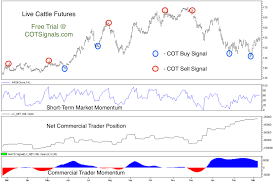 hogs and cattle bottoming out commodity derivative