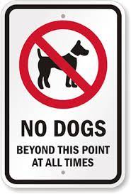 Check spelling or type a new query. No Dog Beyond This Point At All Times Sign Sku K 7125