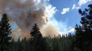 Kisatchie national forest, the only national forest in louisiana, united states, is located in the forested piney hills and hardwood bottoms of seven central and northern parishes. Wildfire In Dixie National Forest Forces Evacuations