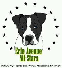 We know that high levels of foot traffic and. 10 Best Cats Dogs Pa No Kill Pspca Philly Pa Erie Avenue All Stars Female Male Cats Ideas Cats Adoption Dog Adoption