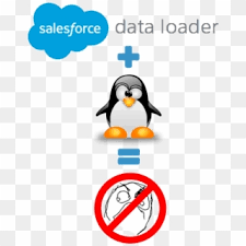 With the salesforce data loader download, you have the option of importing your old data into salesforce in csv or xml format. Salesforce Data Loader On Linux Can It Be Salesforce Commerce Cloud Hd Png Download 546x700 3219933 Pngfind