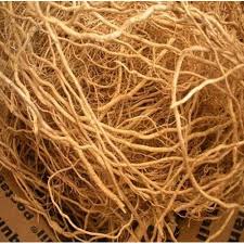 Vetiver.in sites with a similar domain name. Khus Roots Vetiver Roots Chrysopogon Zizanioides Getvedic