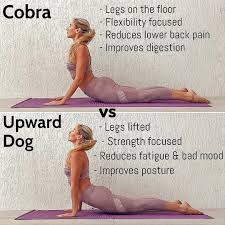 Cobrapose Vs Upwarddogpose Which Do You Prefer Credit To Melisfit Cobra Pos Easy Yoga Workouts Yoga Fitness Yoga Asanas