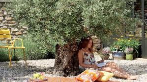 Comment Amenager Le Jardin Comme Une Piece A Vivre Jardins Terrasse Jardin Pieces A Vivre Dans Le Jardin