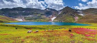 Deosai Plains