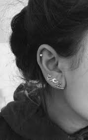 pin by isabella faba on my mind ear jewelry earings piercings ear piercings