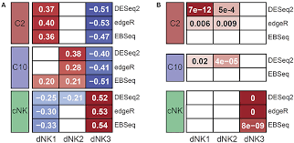 Click para ver pack en dropbox. Frontiers Transcriptional And Functional Programming Of Decidual Innate Lymphoid Cells Immunology