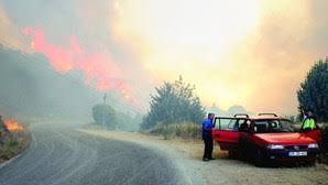Incendio de tavira, julho de 2012, 4 dias de fogo na serra de tavira e de s. Perdi Tudo E Tambem Temi Pela Nossa Vida Vitimas De Incendio De Tavira Em 2012 Lutam Por Indemnizacao Portugal Correio Da Manha