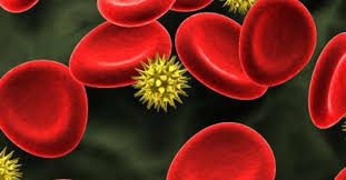 Check spelling or type a new query. Interpretare Analize De Sange Infectiile