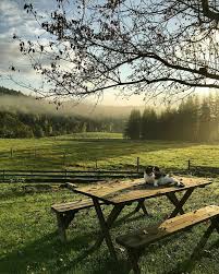 Picnic Table And Rolling Hills Countryside Hil Countryside Hil Hills Picnic Rolling Table Bauernhofleben Im Freien Landschaftsbilder