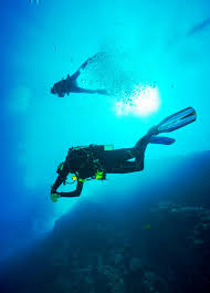 Three principles drive our expert scuba diving staff: 500 Diving Pictures Download Free Images On Unsplash