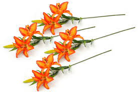 We did not find results for: Dii 4 Piece Artifical Tiger Lily Silk Flowers For Bridal Bouquet Home Decoration Diy Garden Office Decor Centerpiece D Cor Orange Walmart Com Walmart Com