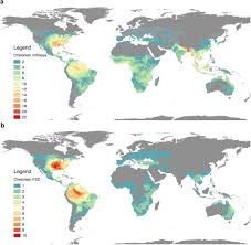 I don't know about you, but i'm a very busy person. Frugivory And Seed Dispersal By Chelonians A Review And Synthesis Biorxiv