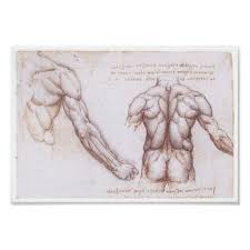 Muscles Of The Back Leonardo Da Vinci Poster Zazzle Com In 2021 Human Anatomy Drawing Anatomy Drawing Drawing Book Pdf