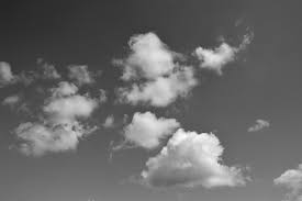 We did not find results for: Awan Putih Foto Hitam Langit Foto Gratis Di Pixabay