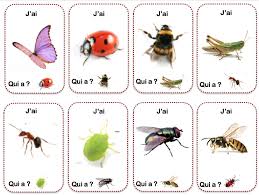 Les Petits Betes Du Jardin La Maternelle De Vivi Les Petites Betes Insectes Jardinage Maternelle