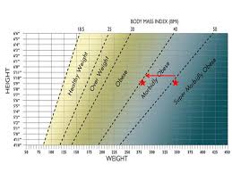 pin on obesity bmi chart