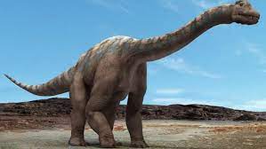 Welcome to the fukui prefectural dinosaur museum (fpdm) web site. Vaca Muerta Hallan Fosiles De Un Dinosaurio Que Vivio Hace 140 Millones De Anos