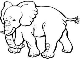 Sketsa Gambar Hewan Gajah Elephant Coloring Pages 698x520 Download Hd Wallpaper Wallpapertip