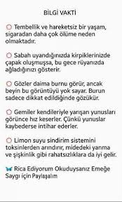 Bilgi Sigara Tembel Gece Limon Yunus Gemi 2020 Bilgi Bilgi Alintilari Kendini Gelistirme