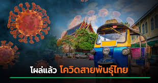 โควิดสายพันธุ์ไทย ถูกพบครั้งแรกในประเทศไทย จากผู้เดินทางมาจากอียิปต์ ตามรายงานของสาธารณสุขอังกฤษ สายพันธุ์ดังกล่าว ถูก. Sz0qxbkv5spunm