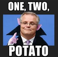 Politics off the front page is part of scott morrison s bid. Treasurer Scott Morrison Counting On The Trickledown Effect