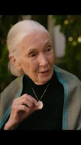 Reimagining what’s possible 💎 The Jane Goodall Collection from Brilliant  Earth unites jewelry with sustainability in an innovative collaboration  crafted from recycled gold and carbon capture lab ...