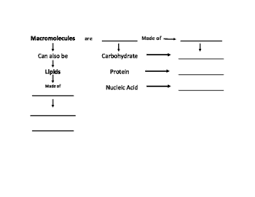 Carbon Based Molecule Macromolecule Flow Chart