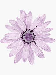 Purple Daisy Sticker By Zipzadoo In 2021 Purple Flowers Wallpaper Daisy Wallpaper Daisy Flower Drawing