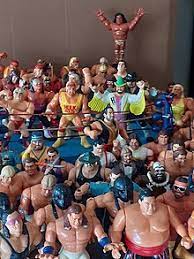 Male student resting and having fun in public bibliotheca. Wwf Hasbro Action Figures Wikipedia