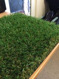 We did not find results for: Luxury 30mm Pile Height Artificial Grass Choose From 47 Sizes On This Listing Natural Realistic Looking Astro Garden Lawn 4 X 1m High Density Fake Turf Amazon Co Uk Garden Outdoors