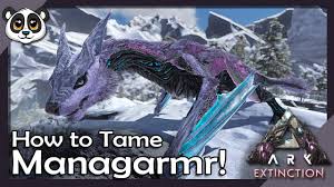 How To Tame Managarmr Ark Extinction Youtube Приручение, разведение и ark how to tame managarmr?! how to tame managarmr ark extinction