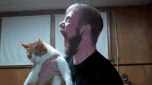 Man Drunkenly Makes Metal Music Video With Cat Album On Imgur