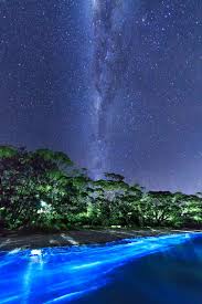 The Milky Way Over Bio Luminescent Plankton On A Beach In South Coast Nsw Http Beautifulvacationspots Com Eszaki Feny Ausztralia Taj