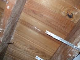 How To Treat A Mold Infestation On Wood With Borax 20 Mule Team Powder Dengarden Home And Garden