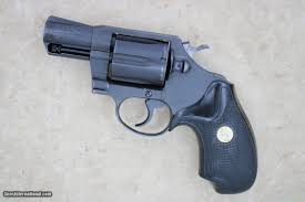 Image result for Rhone Blue 1983 Colt