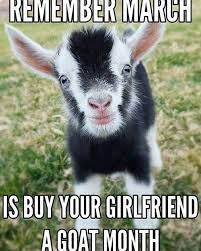 Funniest Love Memes For Your Beloved In 2020 Goats Funny Goats Cute Goats