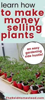 Diy hydroponic gardens takes the mystery out of growing in water. How To Make Money Growing Plants At Home An Easy Side Hustle