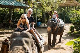 Elephant-Back Wildlife & Tiger Safaris ...