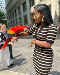 Image result for Brya