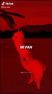 Mi Pan Su Su Sum Video In 2020 Really Funny Memes Funny Instagram Memes Just For Laughs Videos