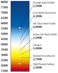 A Guide To Understanding Modern Light Bulbs Color And