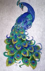 Did you know that only the male bird is called a peacock (females are peafowl) and he doesn't grow his colorful tail feathers until he's 2. Peacock Pencil Drawing Colour Images Bestpencildrawing